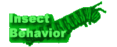 Insect  Behavior