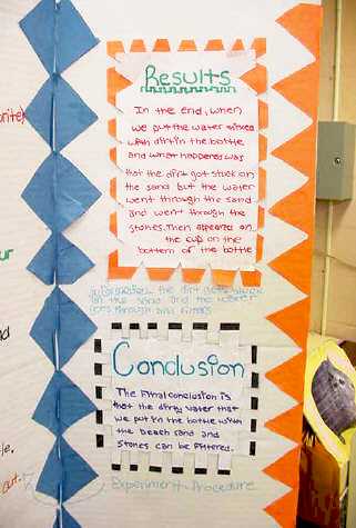 Results & Conclusions for their science project...