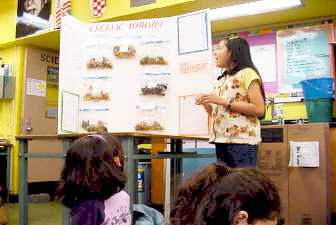 Organic Fertilizer by Katherine Minaya