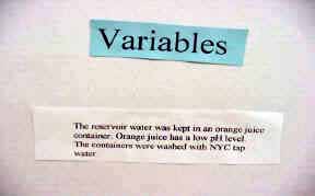 The reservoir water was kept in an orange juice container...