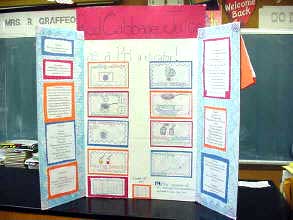 "pH & Red Cabbage" Project