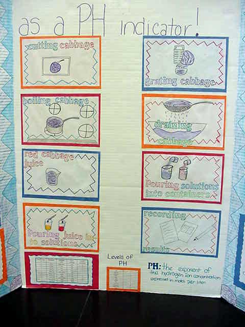 The large drawings were a great aide for those who could not read from our inclusion program