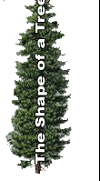 Shape Of Trees