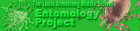 Bug Camp - Entomology - Web Page